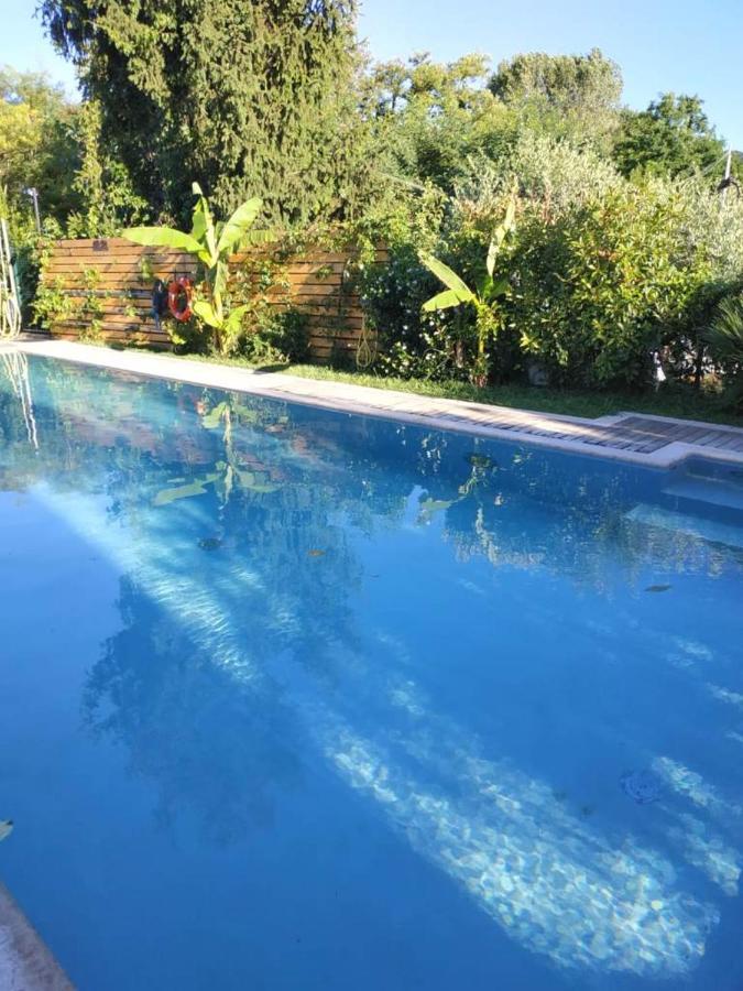 Villa Paradiso Del Garda Vista-Verde Bardolino Kültér fotó